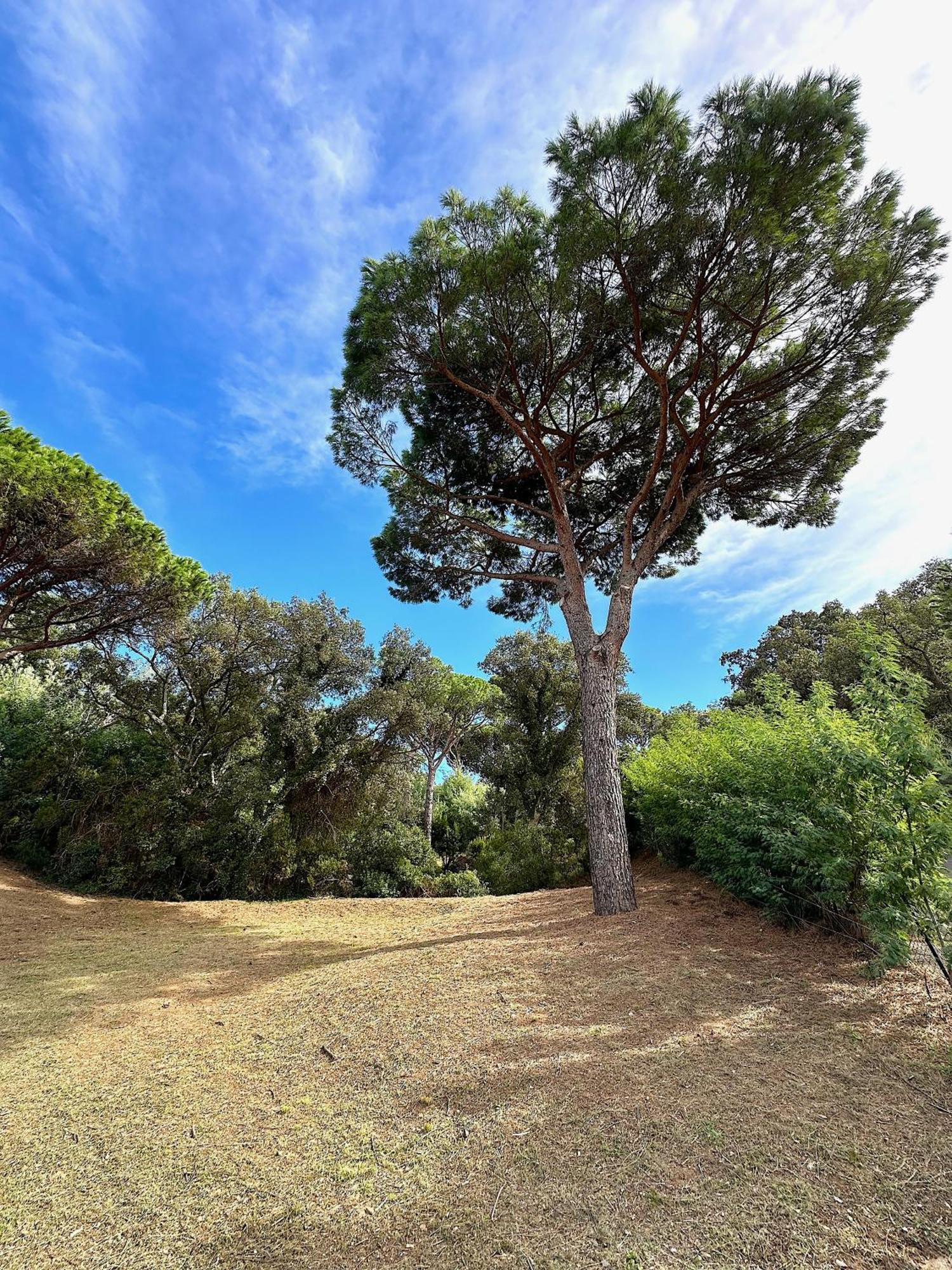 Villa Boca A Gigaro - Avec Vue Et Piscine Chauffee 拉克鲁瓦瓦尔梅 外观 照片